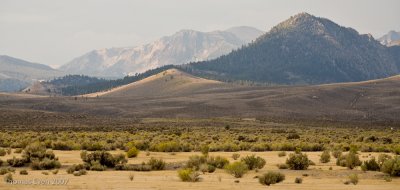 Yosemite_20070826_7034.jpg
