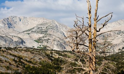 Yosemite_20070826_7090.jpg