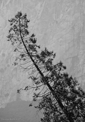 Yosemite_20070826_7187.jpg