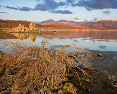 Mono Lake_20070826 #6974