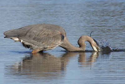 IMG_3019_web.jpg