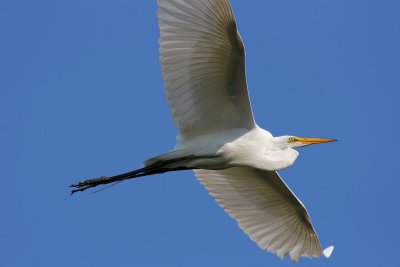 IMG_2552_web.jpg