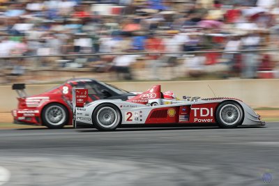 Audi R10 TDI, Audi Sport North America