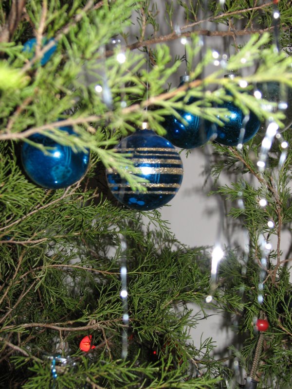 zacs blue ornament branch.jpg