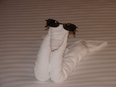 first towel friend - the snake