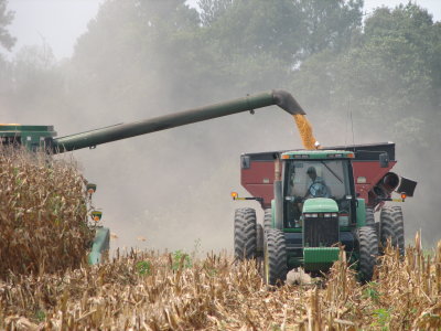 Corn Harvest  - Sept 2007