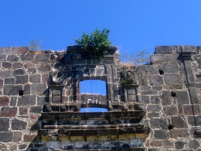 IMG_2253.JPG
