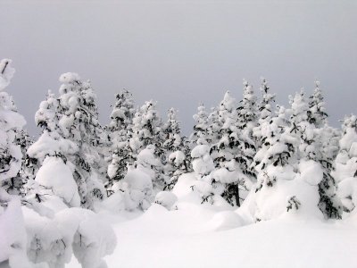 Blanche-Lamontagne