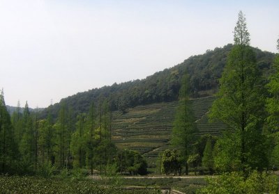 Hangzhou