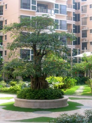 Jardin de l'htel