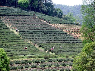 Hangzhou