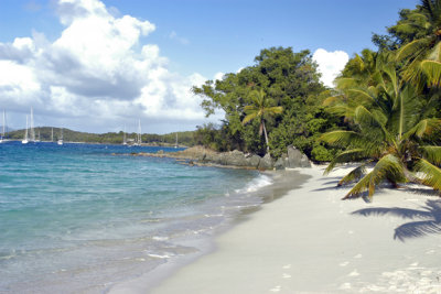 Beach @ St. John