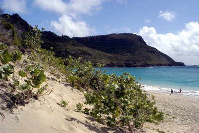 Beach @ St. Barth's