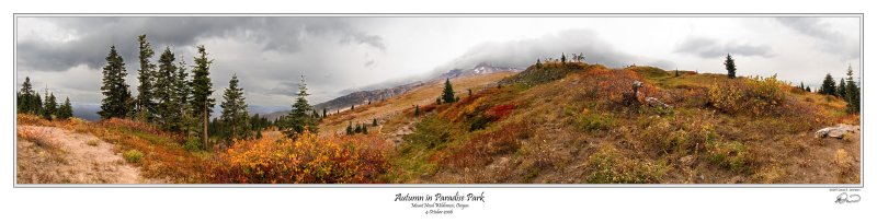 Paradise Park Pano.jpg