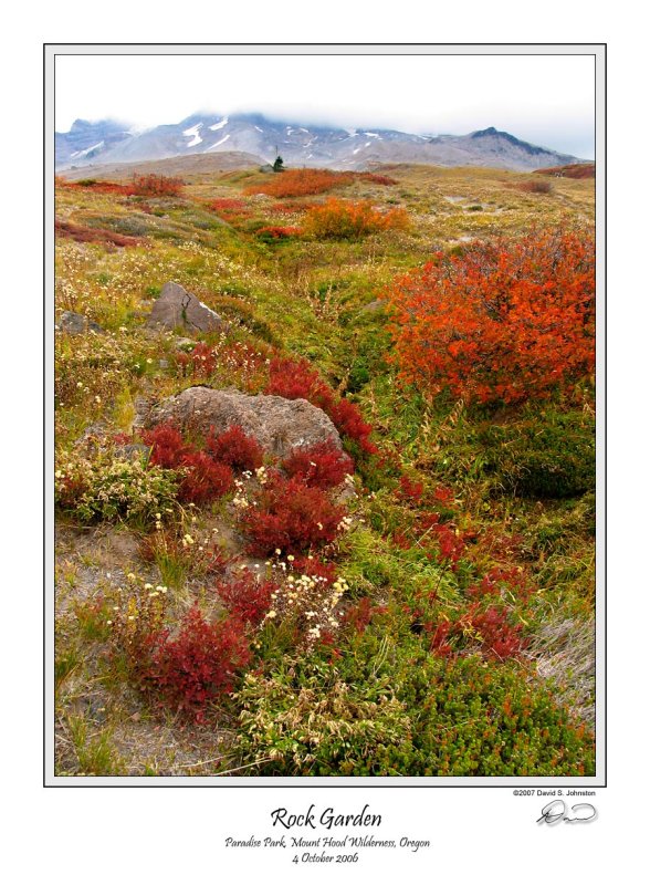 Rock Garden Paradise Park.jpg