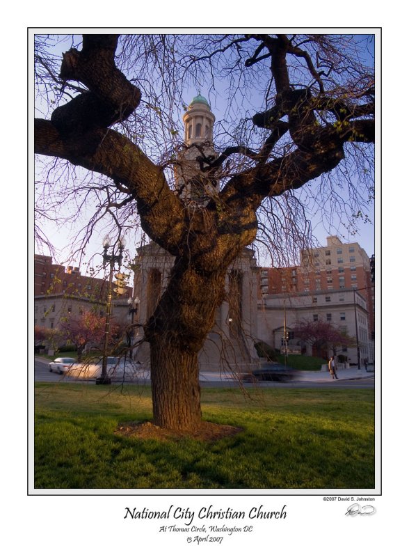 Natl City Church and Tree.jpg