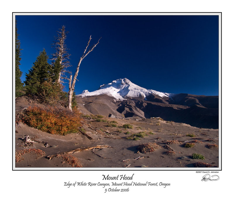 Mt Hood White River Bush.jpg
