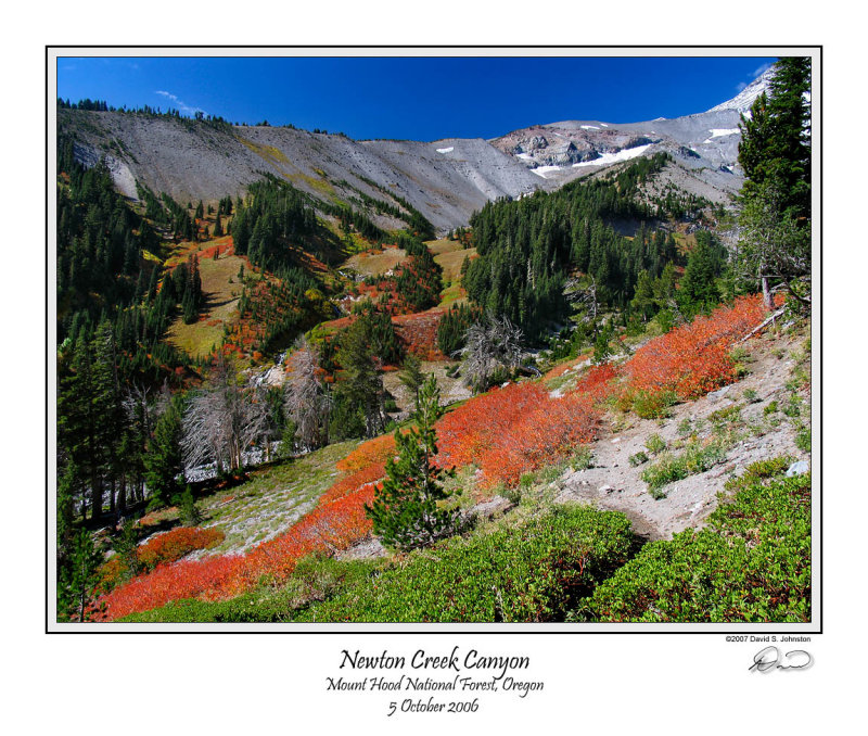 Newton Creek Canyon.jpg