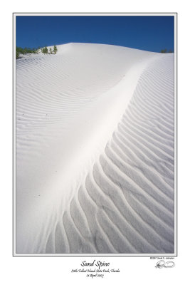 Sand Spine.jpg
