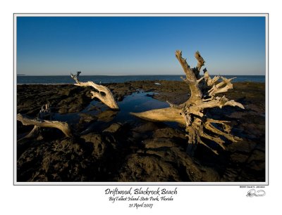 Sunset Driftwood Blackrock.jpg