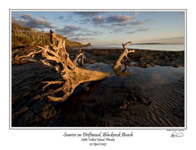 Sunrise Driftwood Blackrock.jpg