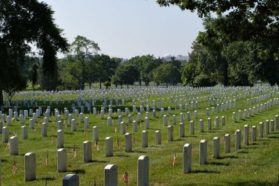 Arlington I