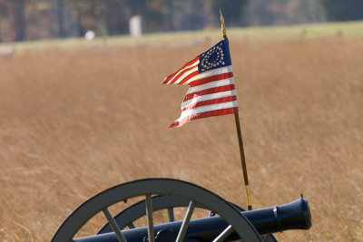 Fighting Flag