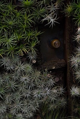 garden door