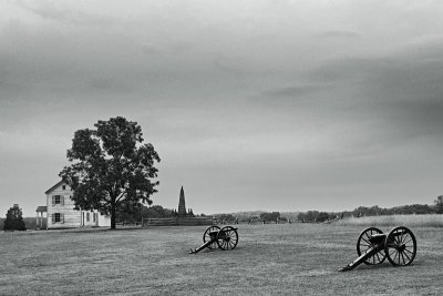 cannons in pasture
