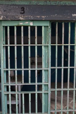 cell 3