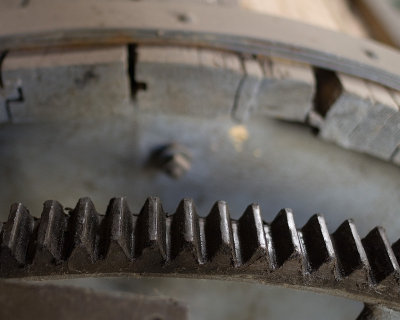 teeth