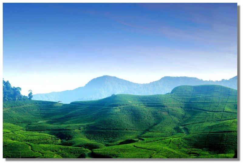 Morning view of Puncak 1