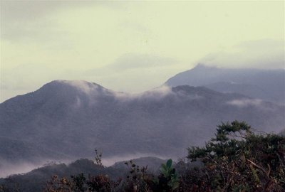 Summit G Murud