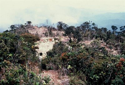 Summit G Murud