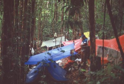 Day 1 campsite in the lowland.