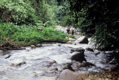 Korbu_032 Medium.JPG