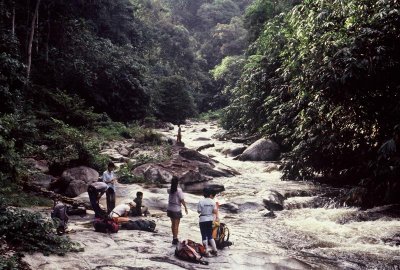 Korbu_081 Medium.JPG