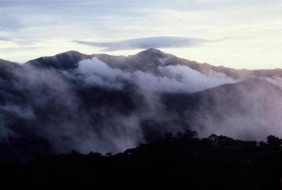 Korbu_018 Medium.JPG