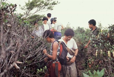 Korbu_089 Medium.JPG