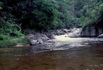 Korbu_047 Medium.JPG