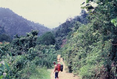 Korbu_049 Medium.JPG