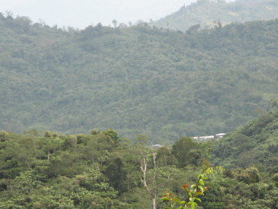 View of Lg Banga