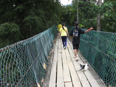 Hanging bridge across Sg Balong.