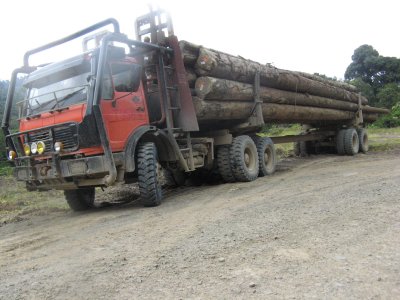 Today is CNY and the timber truck are parked
