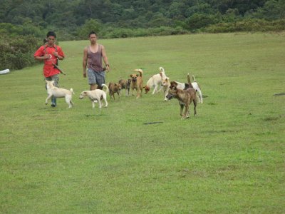 Villagers going hunting with their dogs