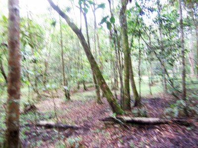 We approached Pa Mein, a abandoned village and they warn us it's quite tricky to find yr way out. Exactly that's what happened