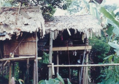 Surrounding huts