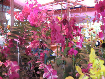 Picture 044.jpg