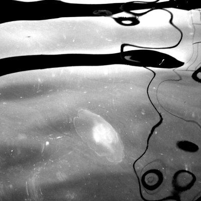 23bw