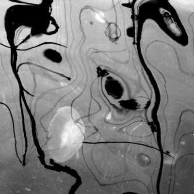 26bw